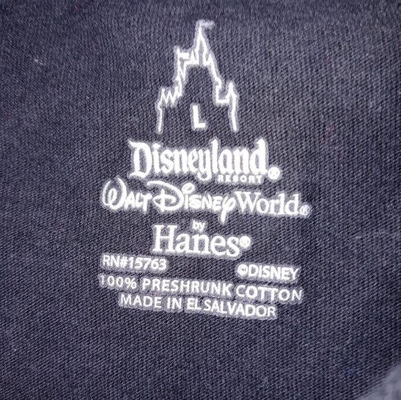 Hanes Walt Disney World Disneyland Short Sleeve Colorblock Mickey T Shirt LG - Picture 3 of 5